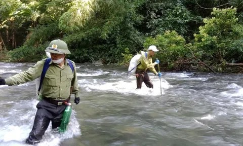 Hơn 30 năm giữ rừng di sản, Vườn quốc gia Pù Mát khẳng định vị thế Vườn di sản ASEAN
